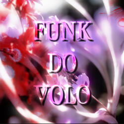 FUNK DO VOLO (slowed version)