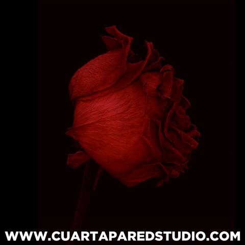 Rosa Dancehall (Instrumental Dancehall)