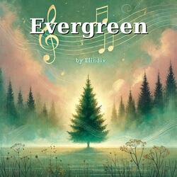 Evergreen