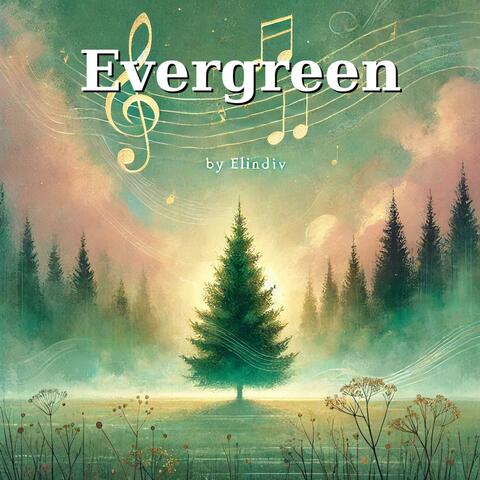 Evergreen