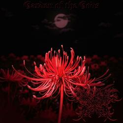 The Betrayer’s Legacy