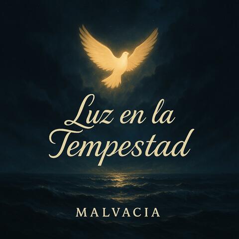 Luz en la Tempestad