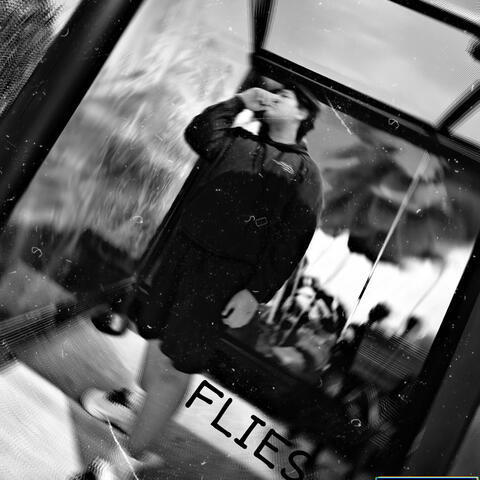 Flies
