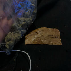 Fuck 3800 (feat. Mirturnt & Kingfrm_95)