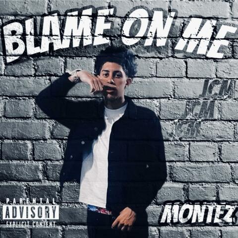 Blame On Me