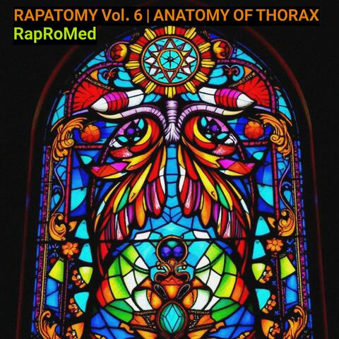 RAPATOMY Vol. 6 | Anatomy of Thorax