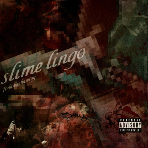 slime lingo (feat. dameshawtyy)