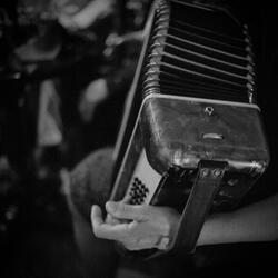 ACCORDEON'S PARTY