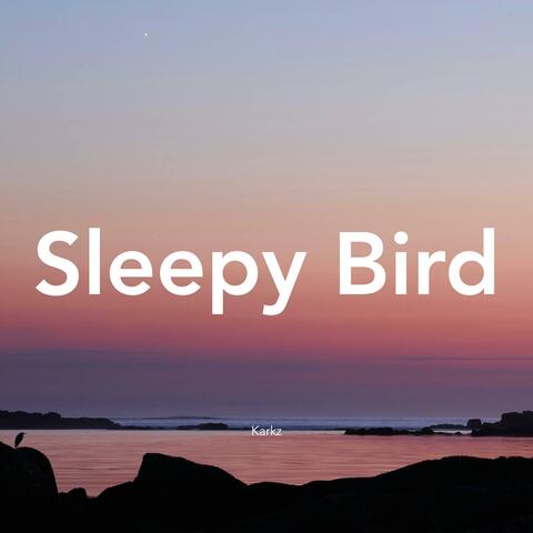 Sleepy Bird