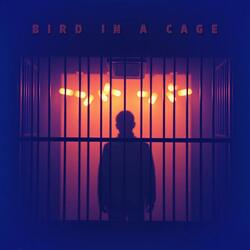 Bird in a Cage (Special Version)