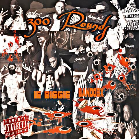 300 Rounds (feat. Bando3x)
