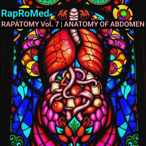 RAPATOMY Vol. 7 | Anatomy of Abdomen