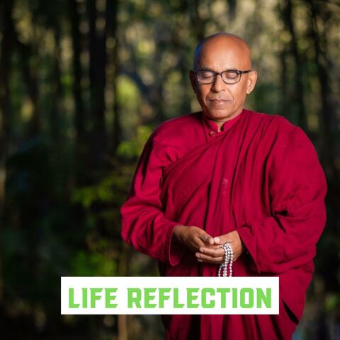 Life Reflection