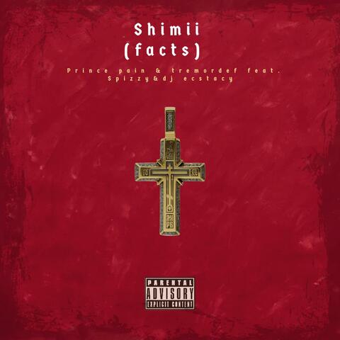 Shimii (feat. Tremordef, Spizzy & Dj Ecstacy)