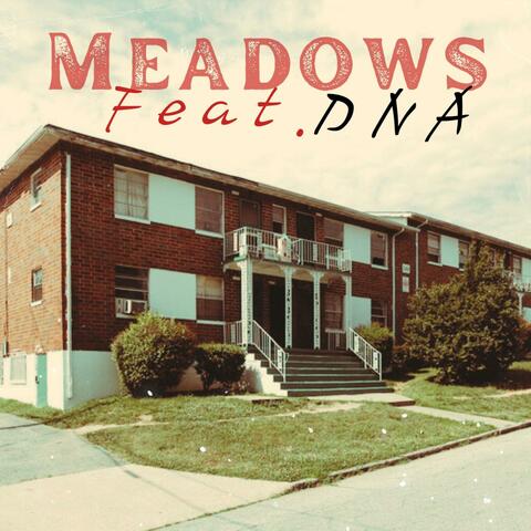 Meadows (feat. DNA)