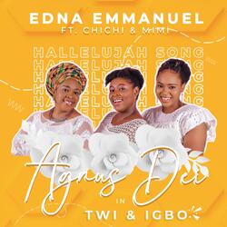 Agnus Dei (Hallelujah Song) in Twi & Igbo (feat. CHICHI & MIMI)