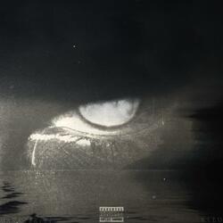 Dark Wave (feat. Dark0exist)