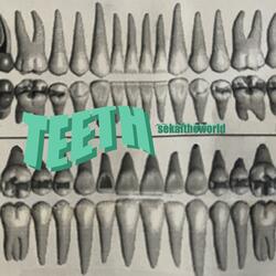 teeth