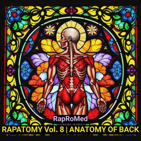 RAPATOMY Vol. 8 | Anatomy of Back
