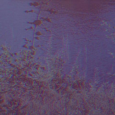 duskshed creek