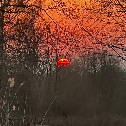 Sundown Slumber