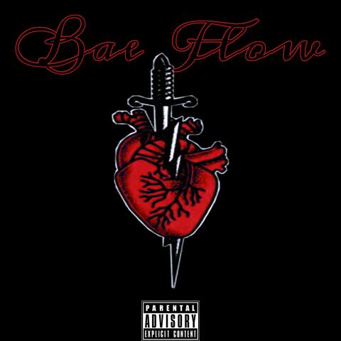 Bae Flow
