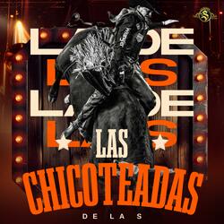 LAS CHICOTEADAS DE LA S