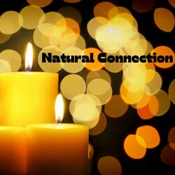Natural Connection (feat. Sammy River)