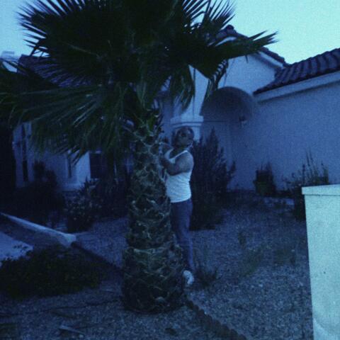 Come Back When It’s Dark Out