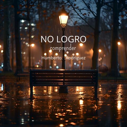 No Logro Comprender