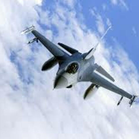 Falcon Runtz