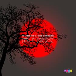 Shadows in the Streets