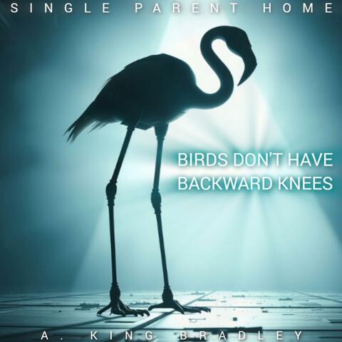 Birds Don't Have Backward Knees (feat. SingleParentHome)