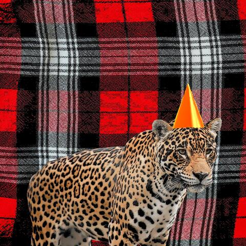 Jaguar on Plaid