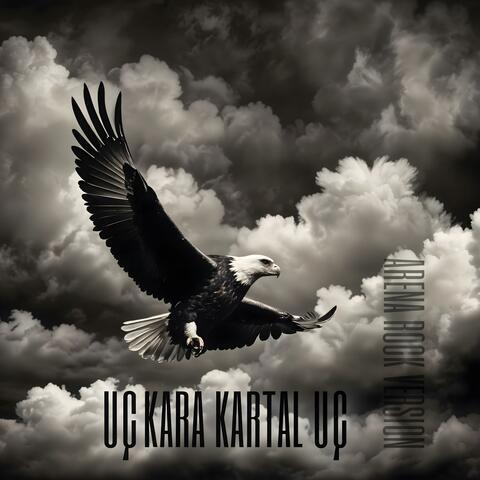 Uç Kara Kartal Uç