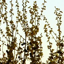 Get away from the truth