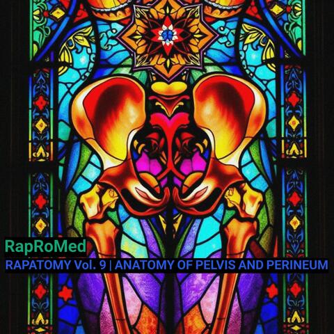 RAPATOMY Vol. 9 | Anatomy of Pelvis and Perineum