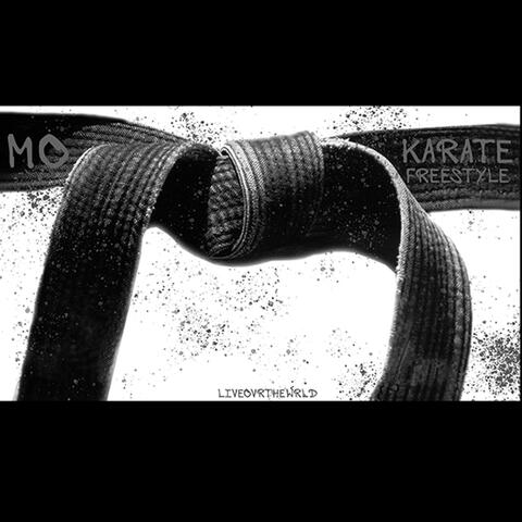 KarateFreestyle