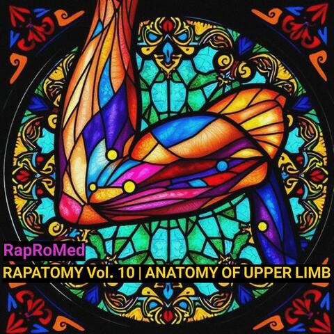 RAPATOMY Vol. 10 | Anatomy of Upper Limb