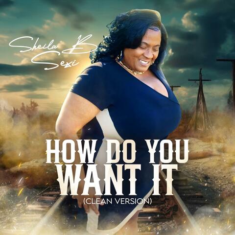 How do you want it (Radio Edit)