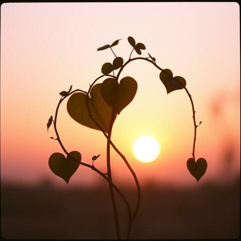 Amore Senza Tempo