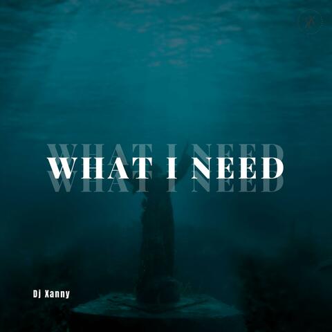 What I Need