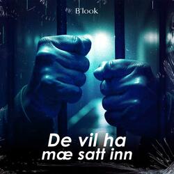 De vil ha mæ satt inn