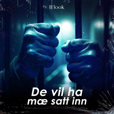 De vil ha mæ satt inn