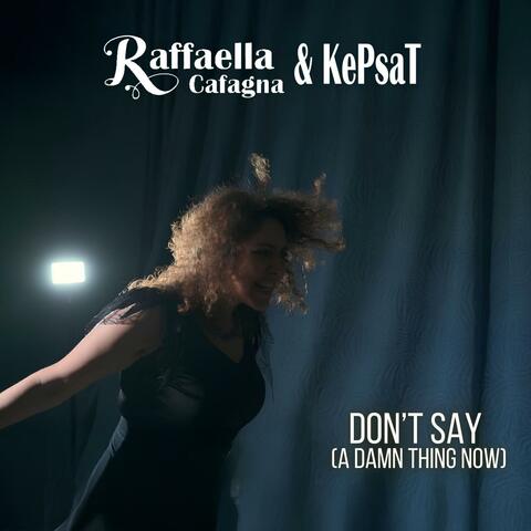 Don't say (a damn thing now)