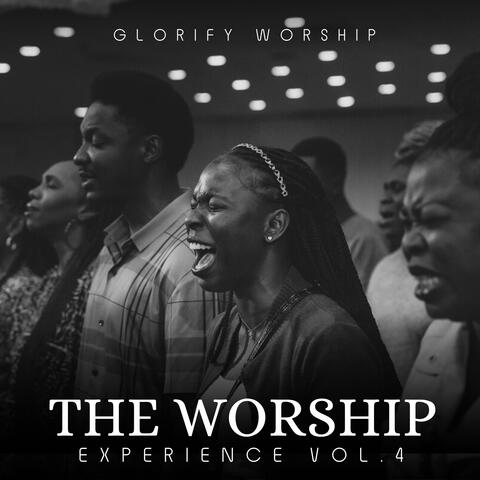 The Worship Experience, Vol. 4
