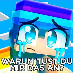 Warum tust du mir das an