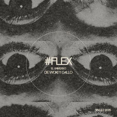 #FLEX (feat. G4LL0)