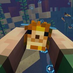 The Minecraft Pufferfish