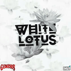 White Lotus